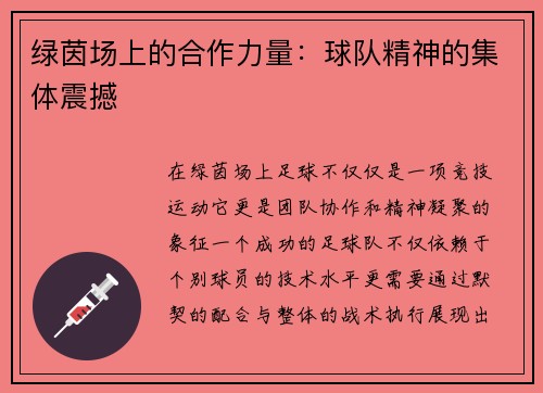 绿茵场上的合作力量：球队精神的集体震撼