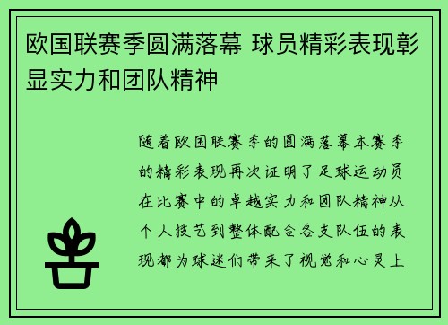 欧国联赛季圆满落幕 球员精彩表现彰显实力和团队精神